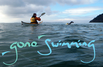 Swimming safely down the Dyfi estuary